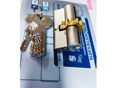 Vložka Star 80S ozubené kolečko 12 zubů